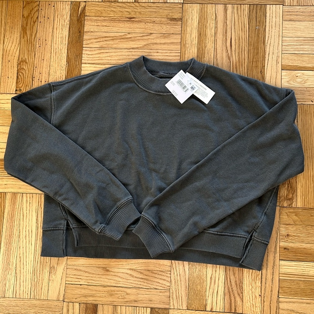 AE Big Hug Cropped Crewneck Sweatshirt